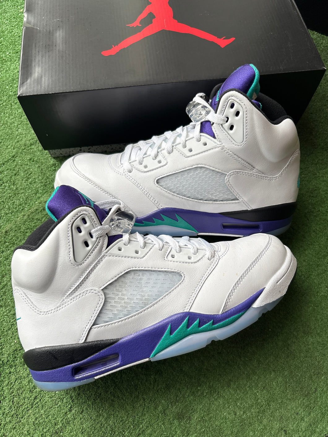 2025 Jordan Grape 5s Size 9.5
