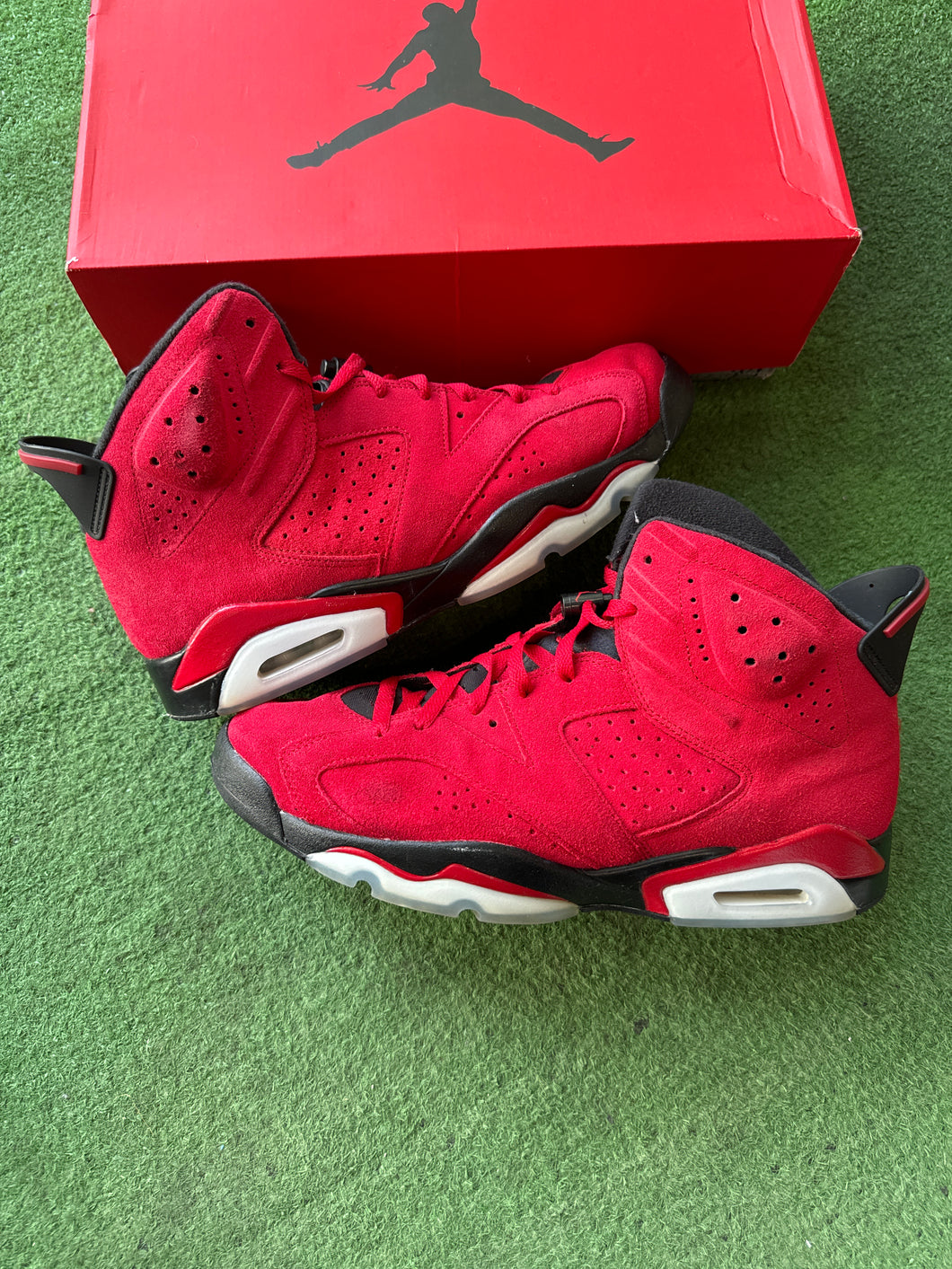 Jordan Toro Bravo 6s Size 12