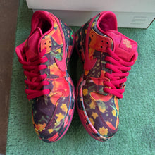 Load image into Gallery viewer, Nike SB Wizard of Oz Low Dunks Size 9
