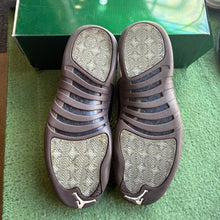 Load image into Gallery viewer, Jordan Solefly 12s Size 13
