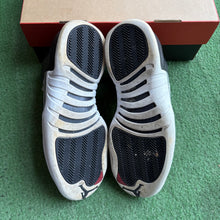 Load image into Gallery viewer, Jordan Playoff 12s Size 10
