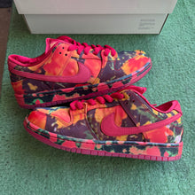 Load image into Gallery viewer, Nike SB Wizard of Oz Low Dunks Size 9
