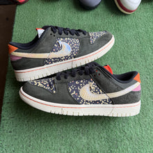 Load image into Gallery viewer, Nike Gone Fishing Rainbow Trout Low Dunks Size 8
