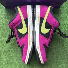 Load image into Gallery viewer, Nike ACG Terra SB Low Dunks Size 10.5
