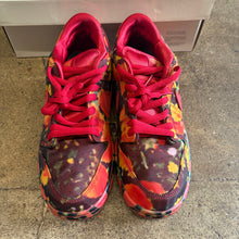 Load image into Gallery viewer, Nike SB Wizard Of Oz Low Dunks Size 9.5
