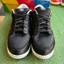 Load image into Gallery viewer, Nike SB Medicom Toy Low Dunks Size 12
