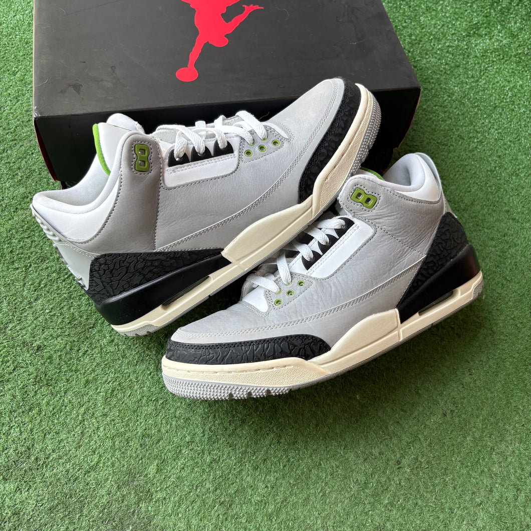 Jordan Chlorophyll 3s Size 9