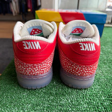 Load image into Gallery viewer, Nike SB Stingwater Low Dunks Size 8
