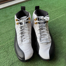 Load image into Gallery viewer, Jordan Taxi 12s Size 10.5
