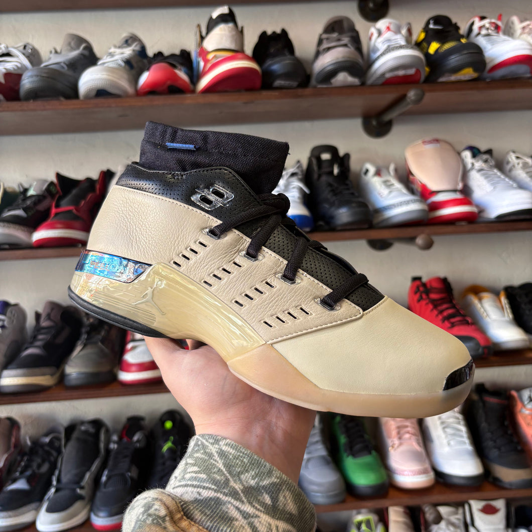 Jordan Infinite Archives Low 17s Size 10