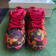 Load image into Gallery viewer, Nike SB Wizard of Oz Low Dunks Size 9
