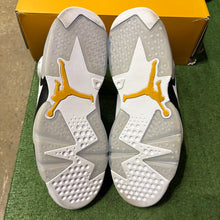 Load image into Gallery viewer, Jordan Yellow Ochre 6s Size 11
