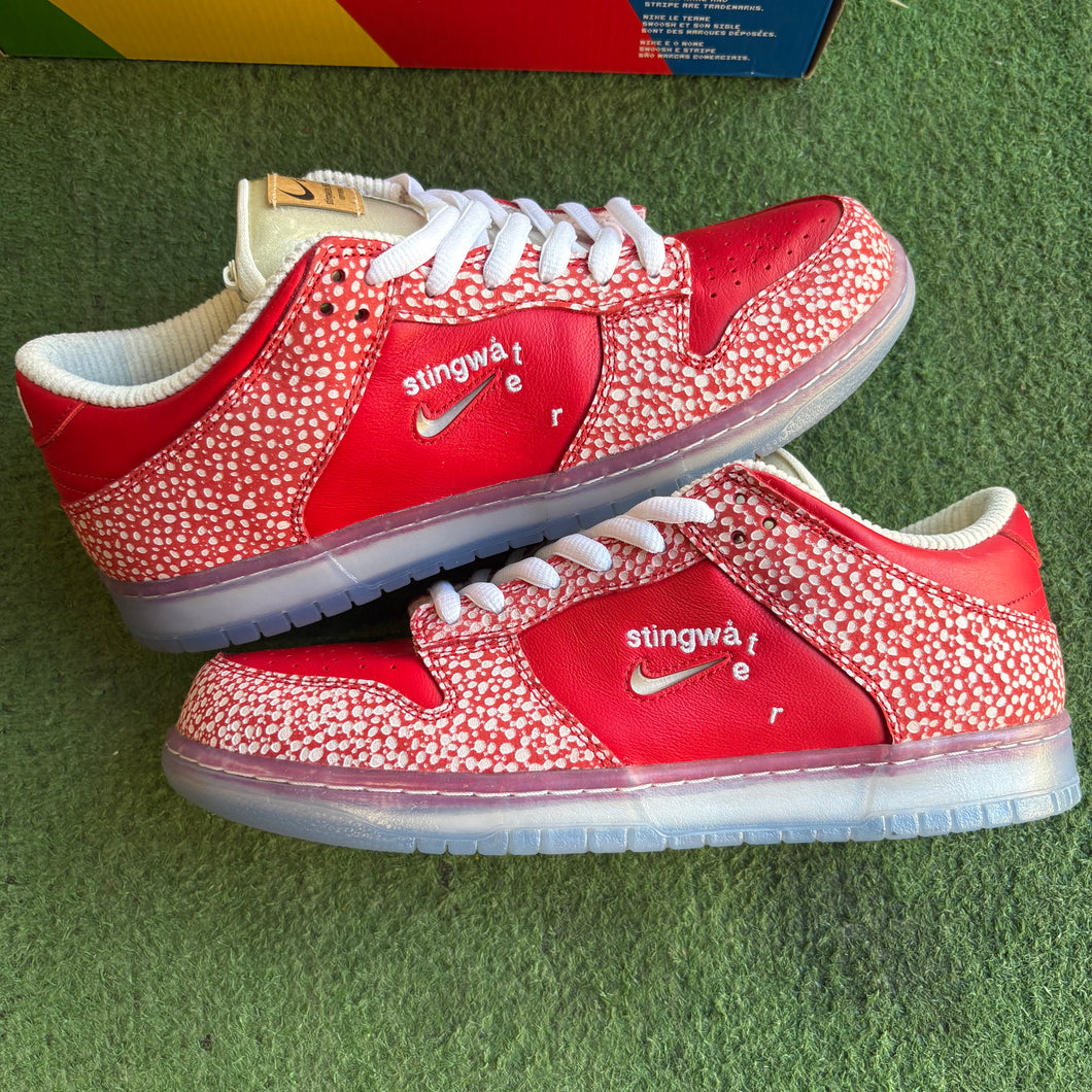 Nike SB Stingwater Dunk Lows Size 10.5
