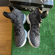 Load image into Gallery viewer, Nike LeBron Ashes 15s Size 13
