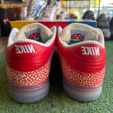 Load image into Gallery viewer, Nike SB Stingwater Dunk Lows Size 10.5
