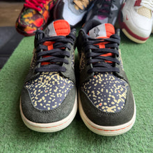 Load image into Gallery viewer, Nike Gone Fishing Rainbow Trout Low Dunks Size 8
