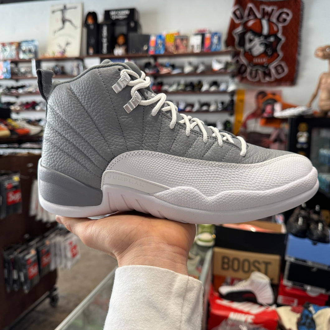 Jordan Stealth 12s Size 10