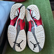 Load image into Gallery viewer, Jordan Bugs Bunny 8s Size 9.5
