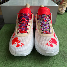 Load image into Gallery viewer, Nike LeBron Mimi Plange 20s Size 11
