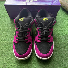 Load image into Gallery viewer, Nike ACG Terra SB Low Dunks Size 10.5
