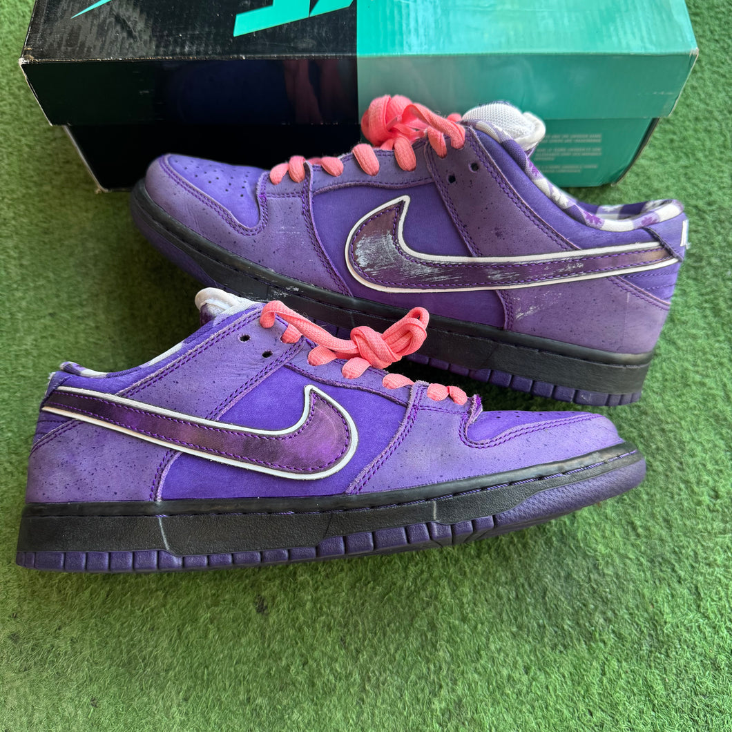 Nike Purple Lobster SB Low Dunks Size 8