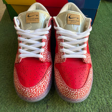 Load image into Gallery viewer, Nike SB Stingwater Dunk Lows Size 10.5
