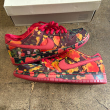 Load image into Gallery viewer, Nike SB Wizard Of Oz Low Dunks Size 9.5
