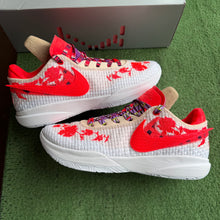 Load image into Gallery viewer, Nike LeBron Mimi Plange 20s Size 11
