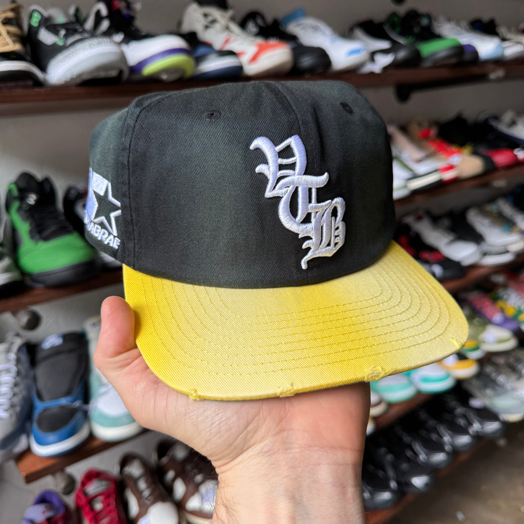 Vertabrae Snapback Hat