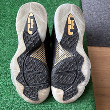 Load image into Gallery viewer, Nike LeBron Watch The Throne 9s Size 10.5
