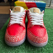 Load image into Gallery viewer, Nike SB Stingwater Low Dunks Size 8
