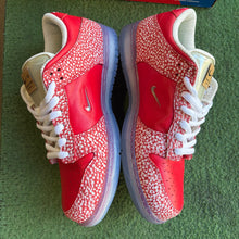 Load image into Gallery viewer, Nike SB Stingwater Dunk Lows Size 10.5
