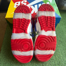 Load image into Gallery viewer, Nike SB Sandy Bodecker Low Dunks Size 5
