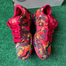 Load image into Gallery viewer, Nike SB Wizard of Oz Low Dunks Size 9.5
