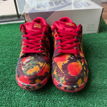 Load image into Gallery viewer, Nike SB Wizard of Oz Low Dunks Size 9.5
