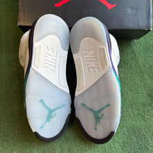 Load image into Gallery viewer, Jordan Grape 5s Size 9.5
