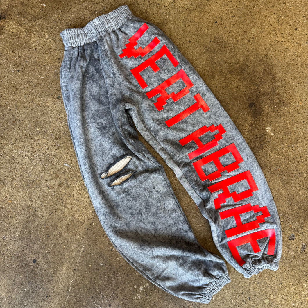 Vertabrae Sweatpants