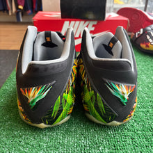 Load image into Gallery viewer, Nike LeBron Everglades 11s Size 11.5
