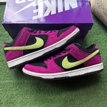 Load image into Gallery viewer, Nike ACG Terra SB Low Dunks Size 10.5
