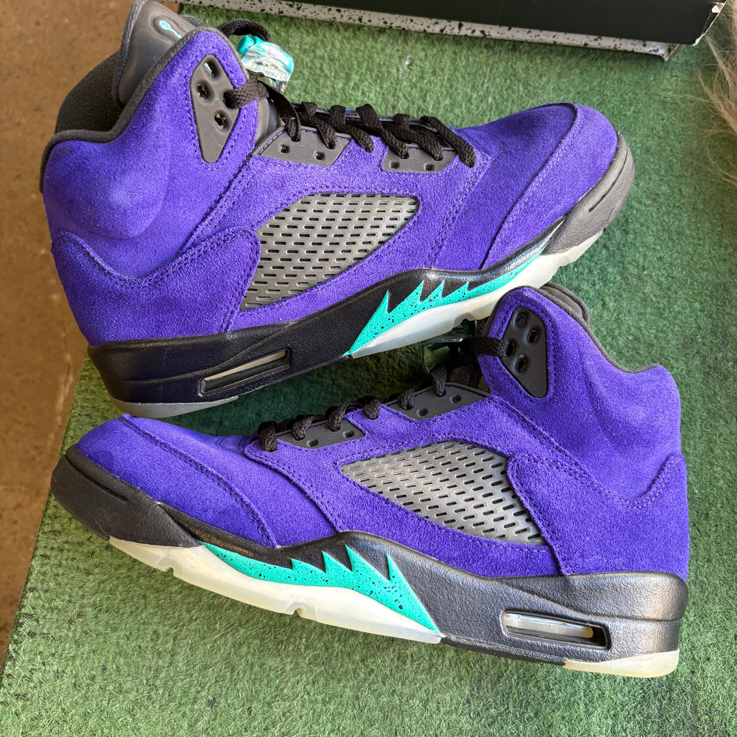 Jordan Alternate Grape 5s Size 9.5