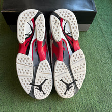 Load image into Gallery viewer, Jordan Bugs Bunny 8s Size 10.5
