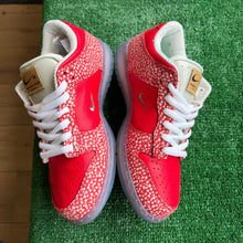 Load image into Gallery viewer, Nike SB Stingwater Low Dunks Size 8
