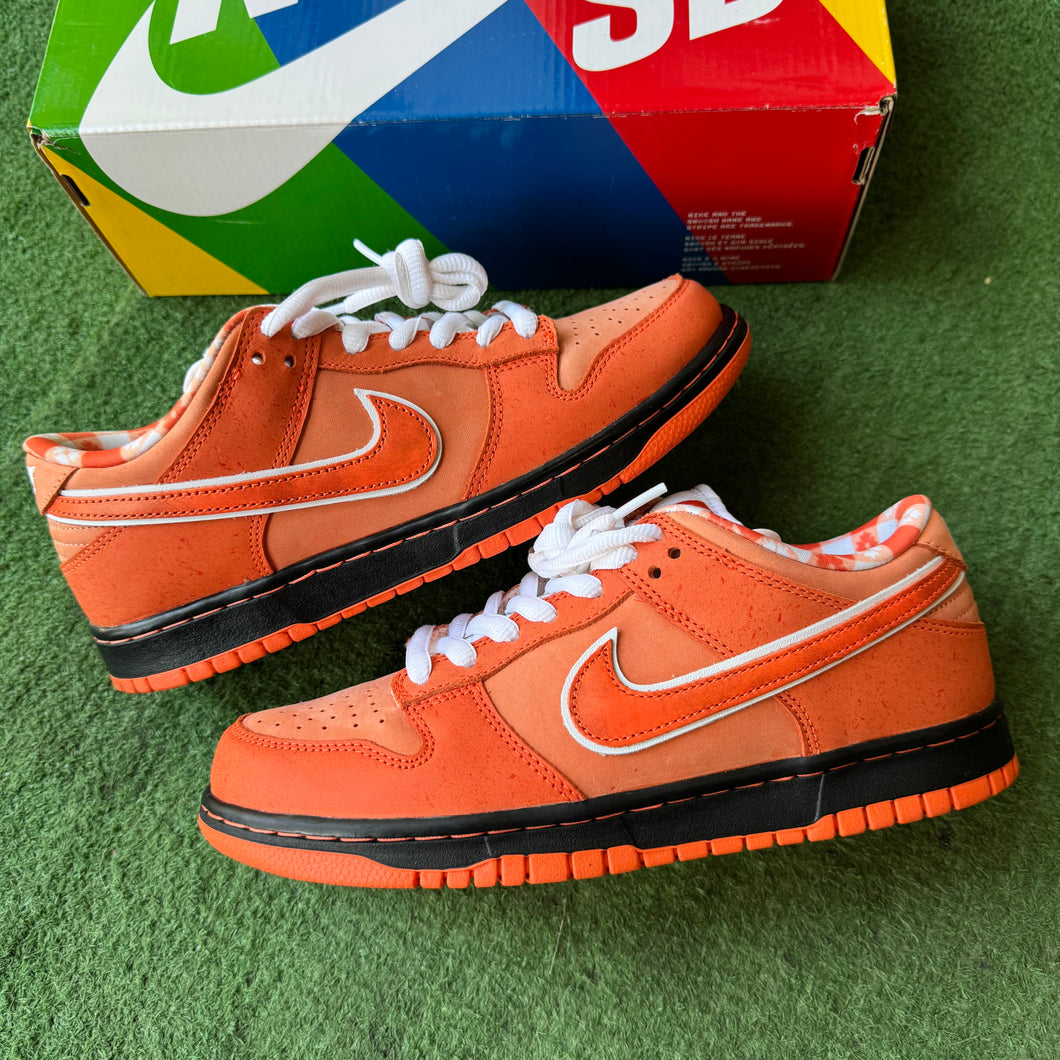 Nike Orange Lobster SB Low Dunks Size 8