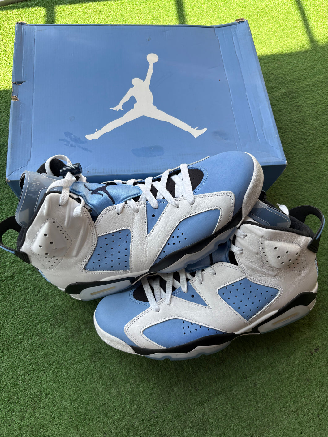 Jordan UNC 6s Size 12